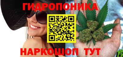 гашик Малоярославец