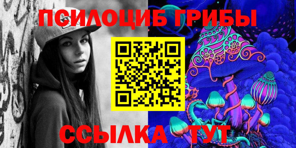 Псилоцибиновые грибы Psilocybine cubensis Звенигород