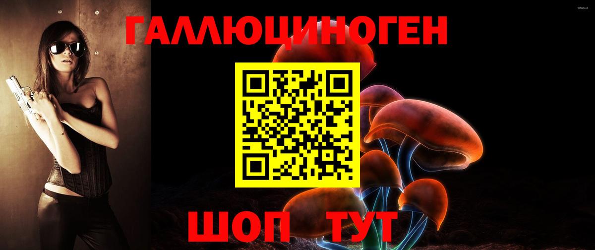 Псилоцибиновые грибы GOLDEN TEACHER  Вход с VPN  Звенигород 